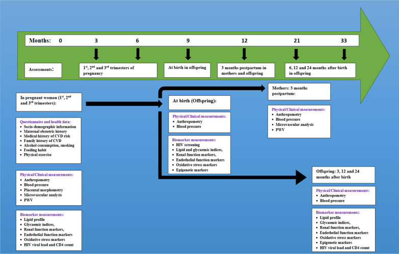 An external file that holds a picture, illustration, etc.
Object name is 12872_2021_2130_Fig2_HTML.jpg