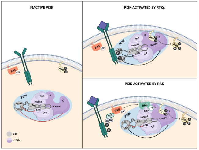 An external file that holds a picture, illustration, etc.
Object name is genes-12-01094-g003.jpg