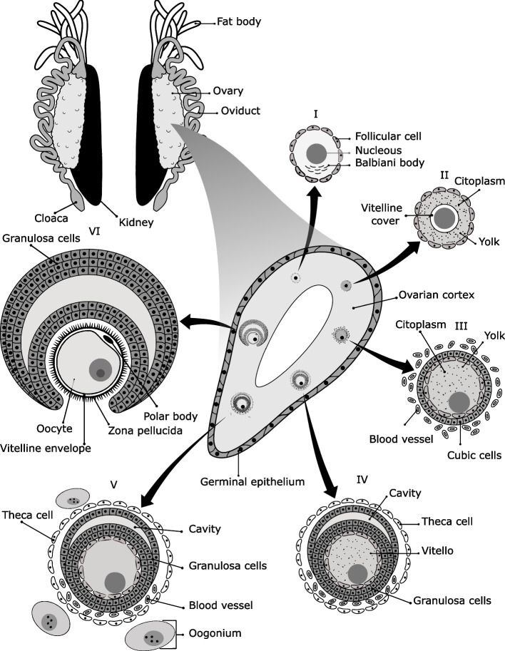 An external file that holds a picture, illustration, etc.
Object name is 40851_2023_201_Fig2_HTML.jpg