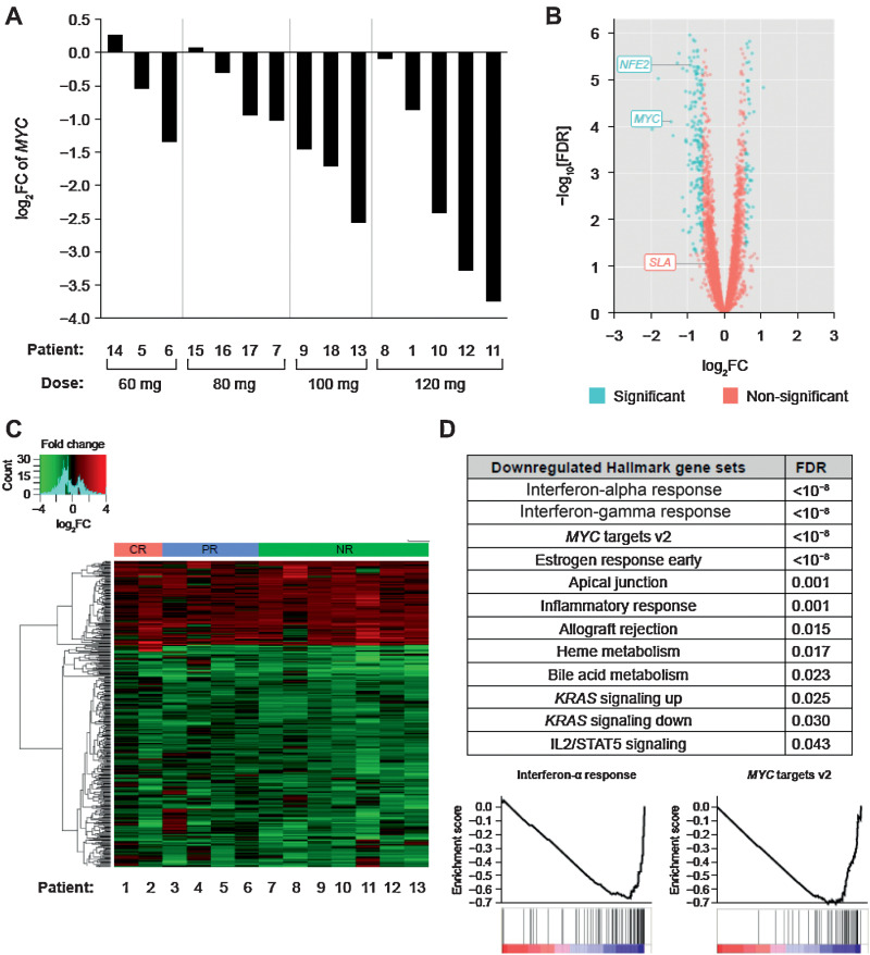 Figure 2. A, RT-qPCR to measure MYC expression was performed on bone marrow aspirate samples collected at screening and post-molibresib treatment. Bars represent the log2-fold change of MYC expression after treatment relative to screening. B, Volcano plot graphing the log10(FDR) versus the log2(fold change) for 7,978 genes that are expressed ( 3 FPKM) in all analyzed samples. Blue dots indicate genes that pass the significance threshold of an FDR  0.05 and  1.5-fold change, whereas pink dots do not meet both criteria. C, A heatmap of all genes that are significantly differentially expressed when pooled across all 13 patients. Each column corresponds to the log2(fold change) for each patient. The bar at the top of the heatmap corresponds to clinical response, indicating CR (pink), PR (blue), or NR (green). D, GSEA results when examining the average fold-change across all 13 patients. Twelve gene sets were significantly downregulated (FDR  0.05). Two example enrichment plots show the enrichment score (black line) across all genes, with black bars, indicating genes within the IFN-alpha response and MYC target v2 gene sets, respectively. AML, acute myelogenous leukemia; CR, complete response; FC, fold change; FDR, false discovery rate; FPKM, fragments per kilobase per million reads; GSEA, gene set enrichment analysis; NR, no-response; PR, partial response; RT-qPCR, reverse transcription and quantitative polymerase chain reaction.