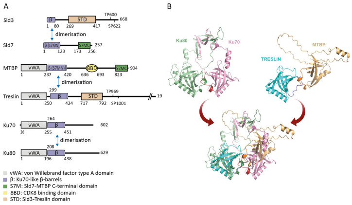 An external file that holds a picture, illustration, etc.
Object name is biology-11-00827-g002.jpg