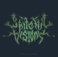 Spiteful Visions image