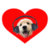 puppyluv thumbnail