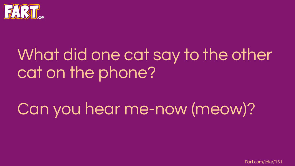 What did one cat say to the other cat on the phone Joke Meme.