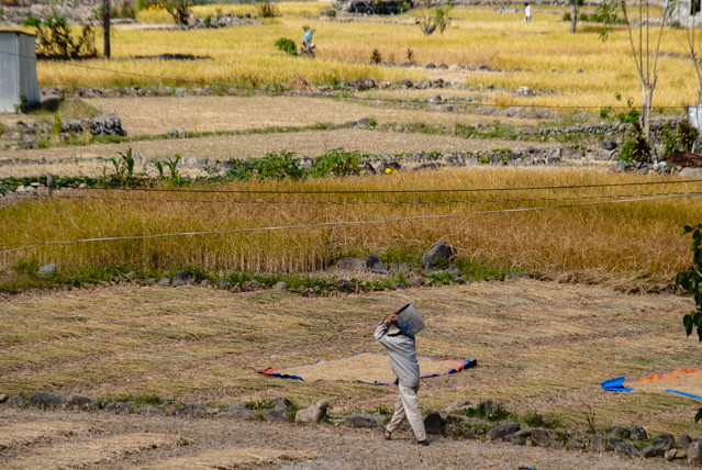 Bontoc5.jpg (1 of 1)