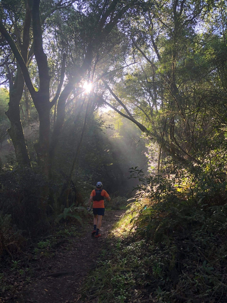 Tantek running on a trail in a forested canopy with sunbeams shining down on either side of him across tree branches crossing overhead.