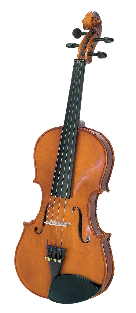 A Close Up Of A Violin