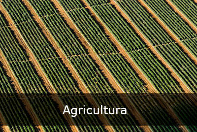 Agricultura