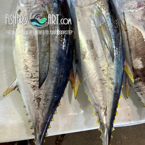 Fresh Yellowfin Tuna (~1kg)