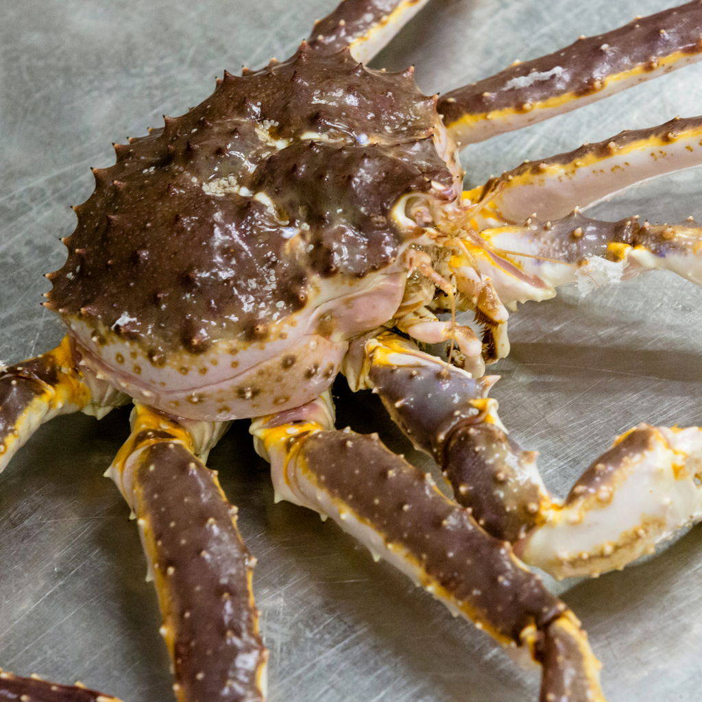 Alaskan King Crab (~2.0-4.5kg per piece)