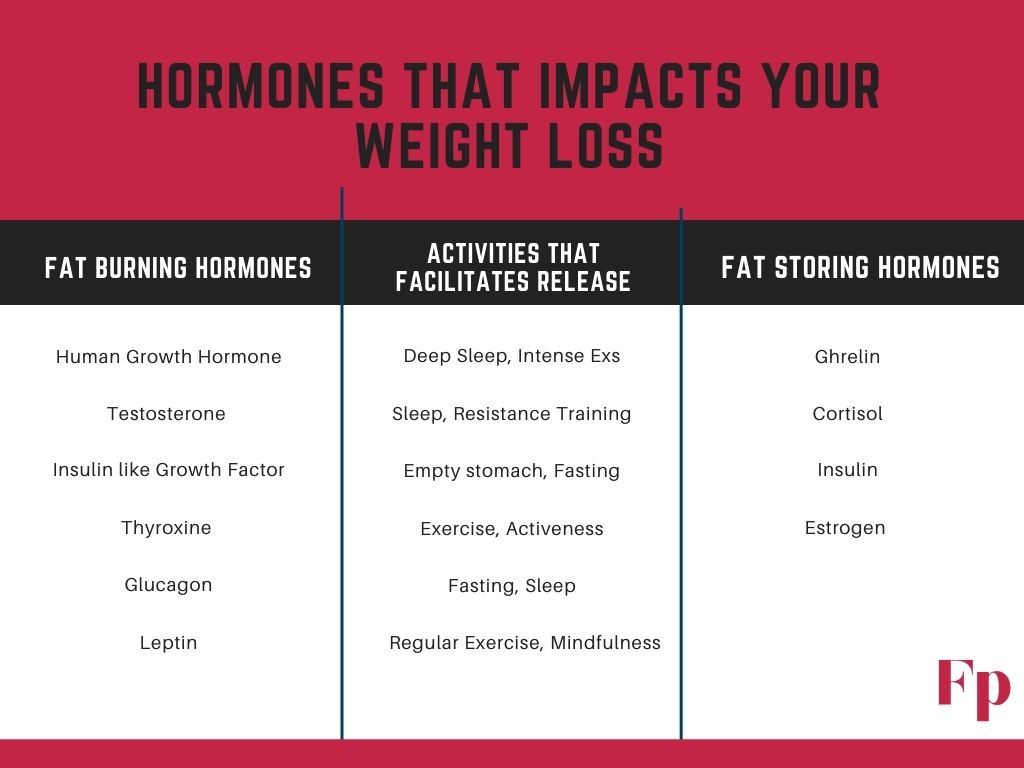 hormones-for-fat-burning-fat-storage/