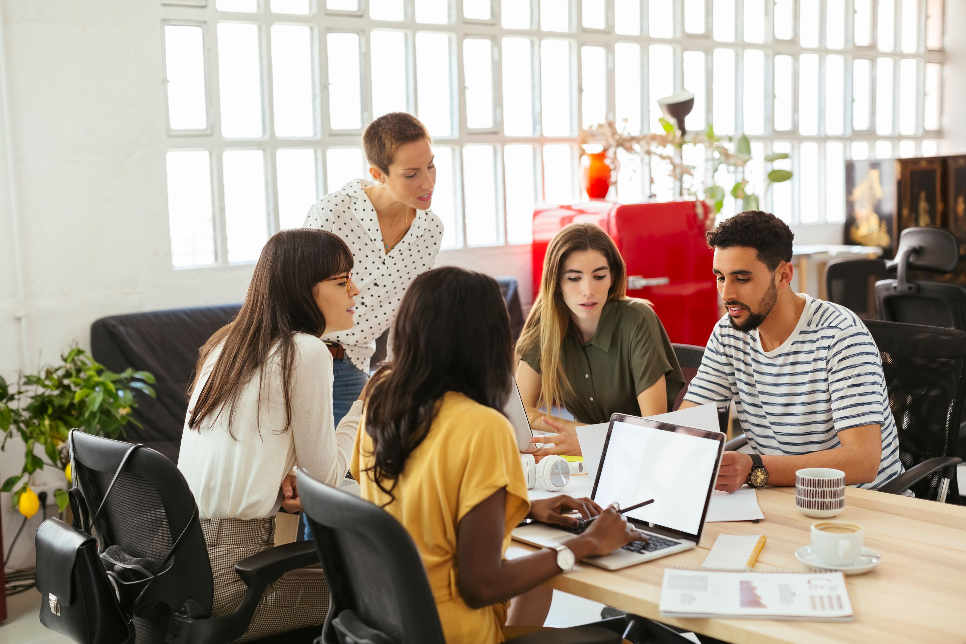 A group of co-workers collaborating together on a project.