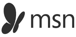 msn logo.