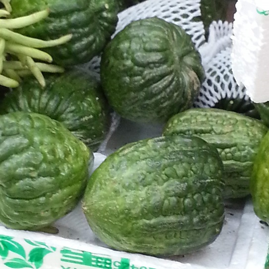 Chinese melons/gourds