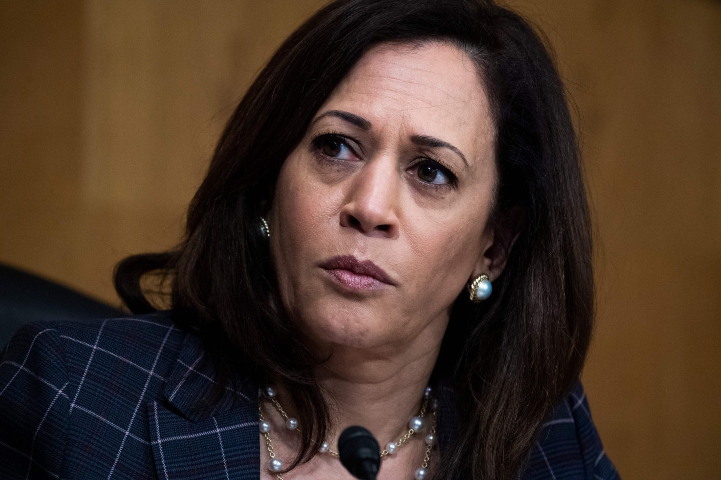 Vice President Kamala Harris