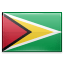 Guyana Flag