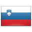 Slovenia Flag