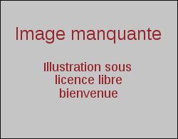 Image manquante.svg