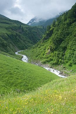 La Dranse de Ferret, près de La Fouly