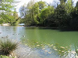 Le Lez entre Castelnau et Montpellier.