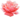 Extracted pink rose.png