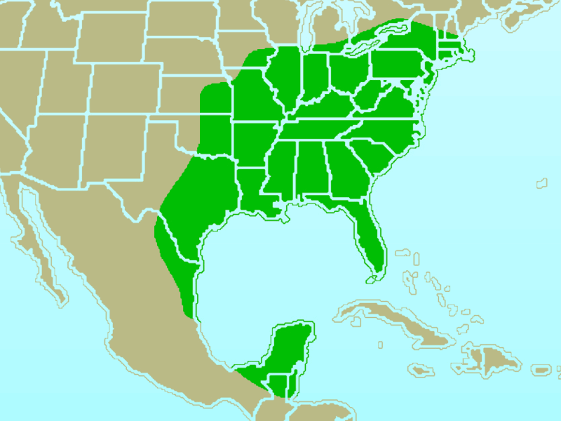 Carolina Wren-rangemap.gif