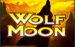 Logo wolf moon amatic 