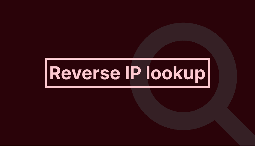 Reverse IP lookup