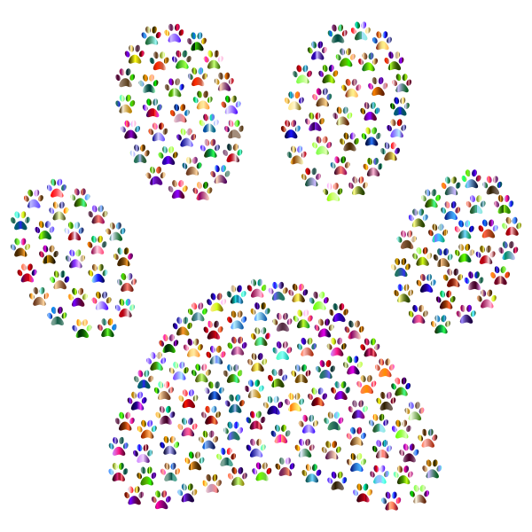 Paw Print Fractal Chromatic