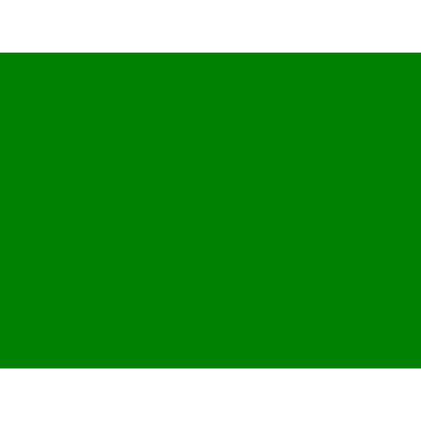 WebSALE TV 640x480 SD green screen