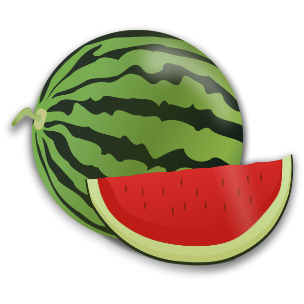 Watermelon and slice vector image