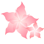 Pink flower-1572774071