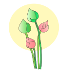 Tulip flower vector