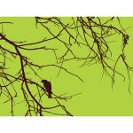 Bird on the branch vector drawing