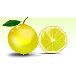 Lemon vector image