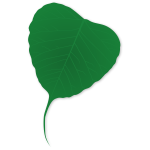 Ginko leaf