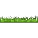 Green grass image