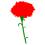 International Working Womens Day - Carnation