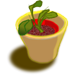 Vector image of plant in two pots