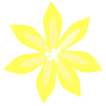 Yellow Lily 