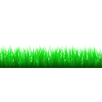 Grass