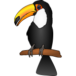 Toucan