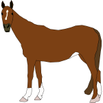 horse