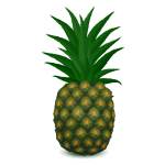 Pineapple drawing