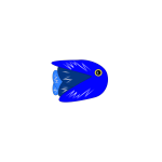 Blue Fish