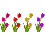 Tulips-1598369837