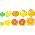 Citrus Fruits