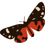 Red Butterfly