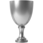 Silver cup 4