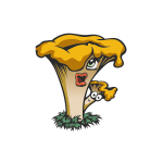 A family mushroom